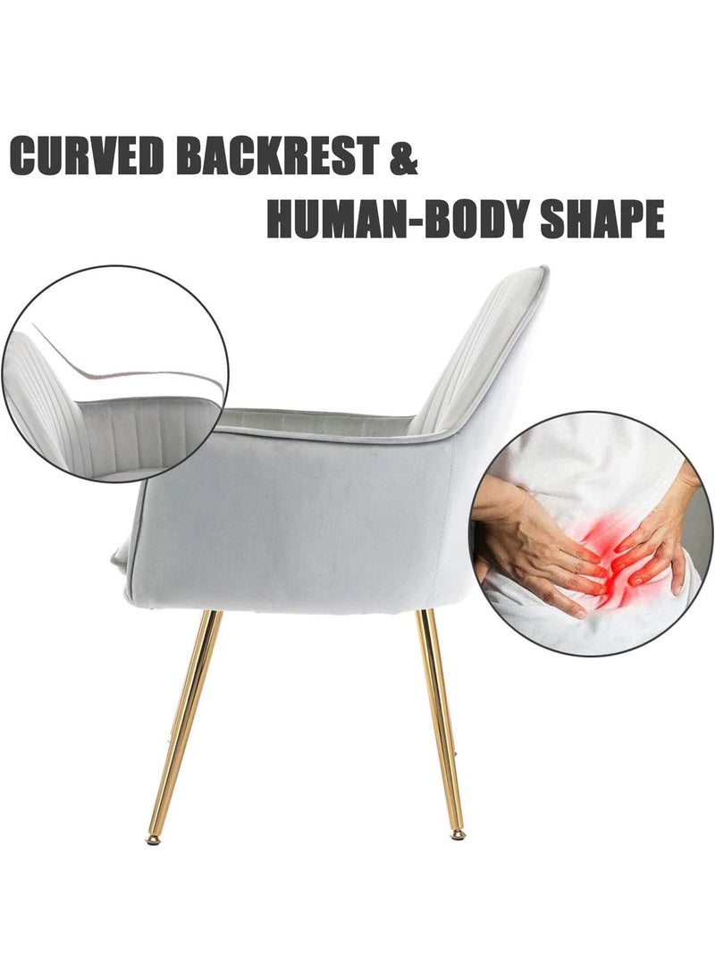 Taimi Modern Accent Dining Chair, Velvet Dining Chair, Home Office Chair, Desk Chair, Upholstered Living Room Chair, Living Room Bedroom Armchair with Golden Finished Metal Legs, Grey  - Image 4