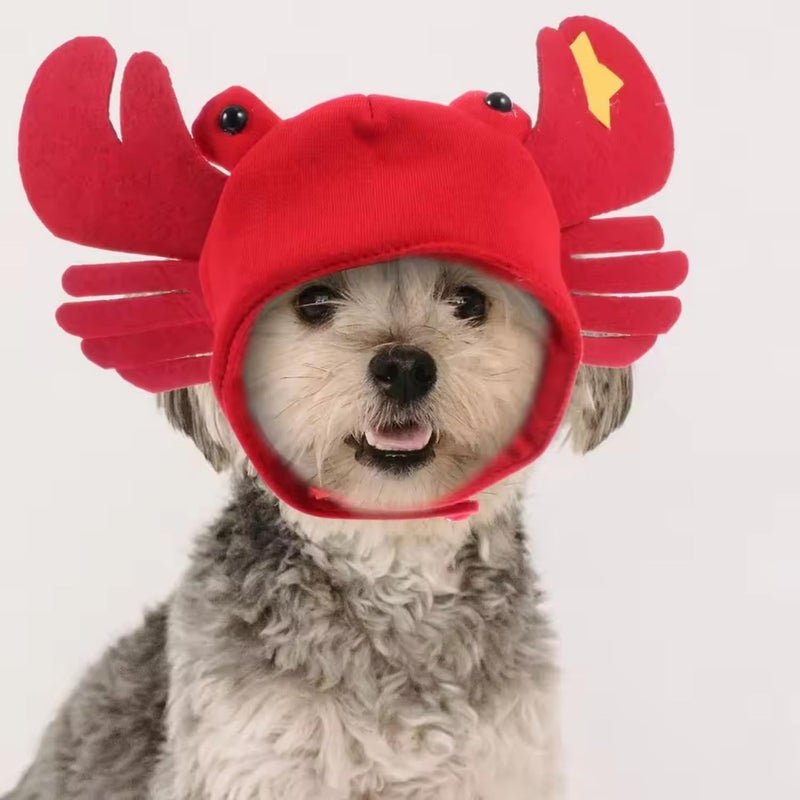Dzrige Halloween Pet Crab Hat Red Plush Crab Hat Funny Cat Pup Small Pet Hat Halloween Crab Headwear for Halloween Masquerade Dress Up Cosplay - Image 5