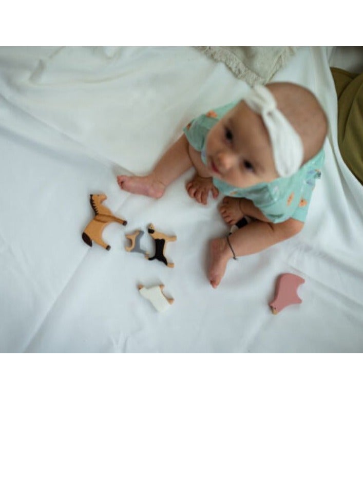 بيرتش آند باغز لعبة خشبية، حيوانات المزرعة للأطفال/الرضع، هدية تعليمية وآمنة من مونتيسوري - Image 5