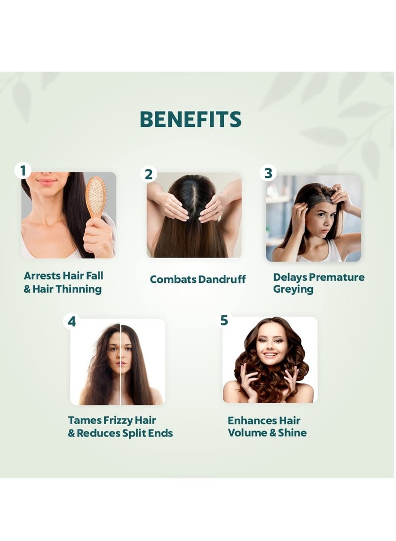 إندوس فالي جل الصبار العضوي الحيوي لإعادة تولد الشعر مع برينجراج وزيت الجوز لإدارة الشعر القصوى 175 مل - Image 3