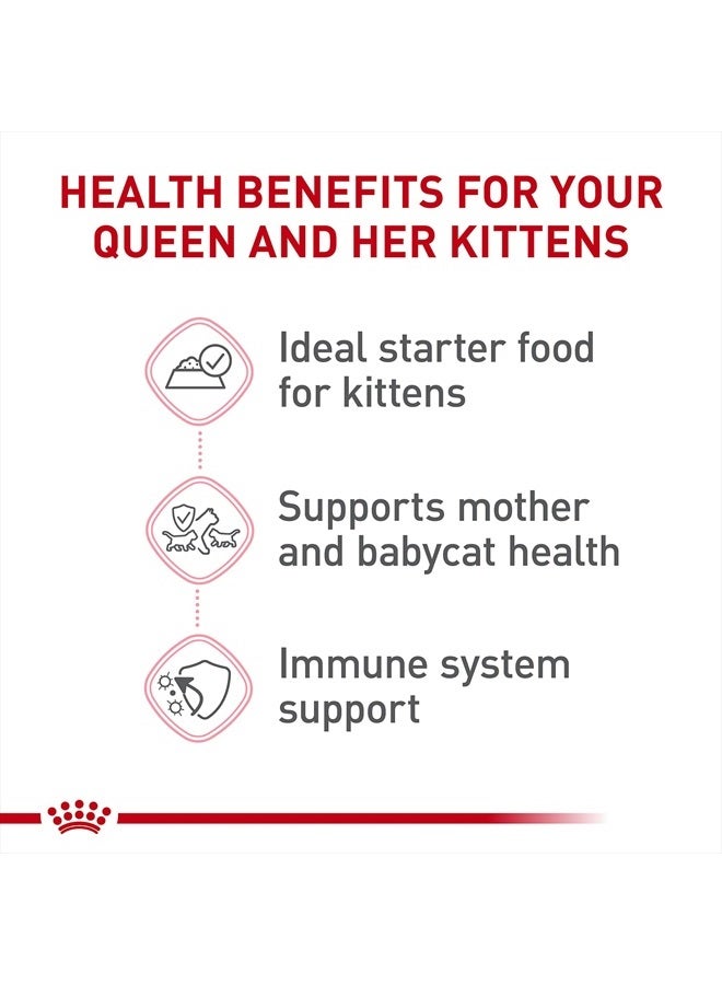 ROYAL CANIN تغذية صحة القطط الأم والقطط الصغيرة موس ناعم للغاية في صلصة طعام قطط معلب، يدعم الهضم الصحي وتطور الدماغ، 3 أونصات، 6 عبوات - Image 4