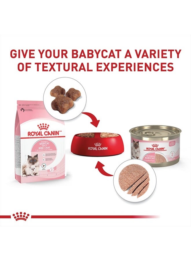 ROYAL CANIN تغذية صحة القطط الأم والقطط الصغيرة موس ناعم للغاية في صلصة طعام قطط معلب، يدعم الهضم الصحي وتطور الدماغ، 3 أونصات، 6 عبوات - Image 5