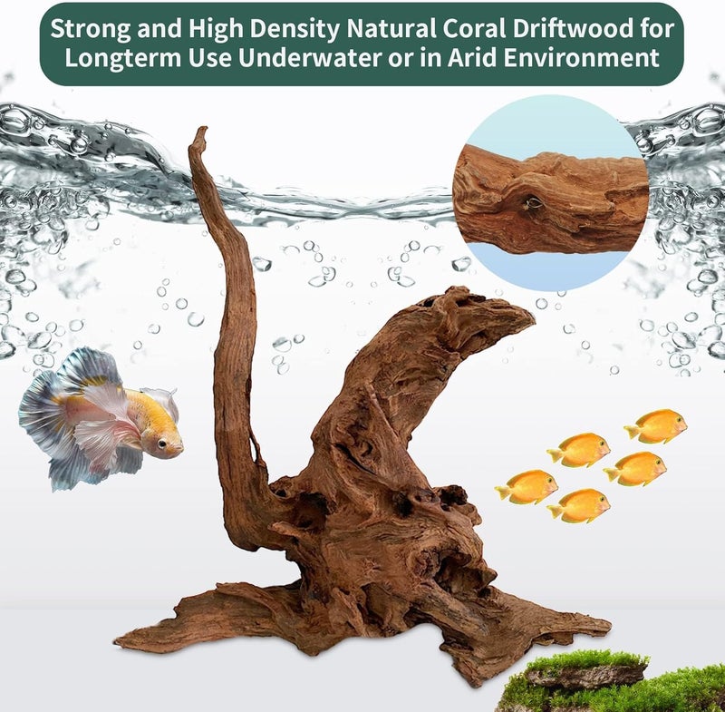 Hamiledyi 2 قطع خشب driftwood كبير لحوض السمك 8-18 بوصة فروع driftwood زواحف ديكور حوض السمك أحجام متنوعة موطن طبيعي ديكور خشب للسحالي - Image 4