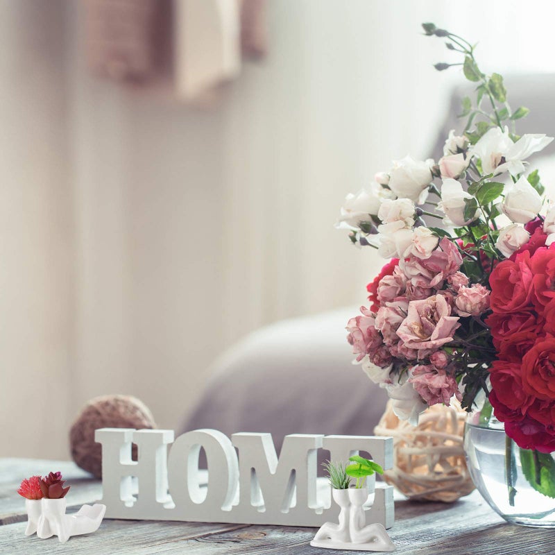 Potchen 4 Pieces Ceramic Air Planters Holder People Head White Cute Table Top Display for Air Plants Lovers DIY Decoration Home Office Holiday (Lovers Style) - Image 5