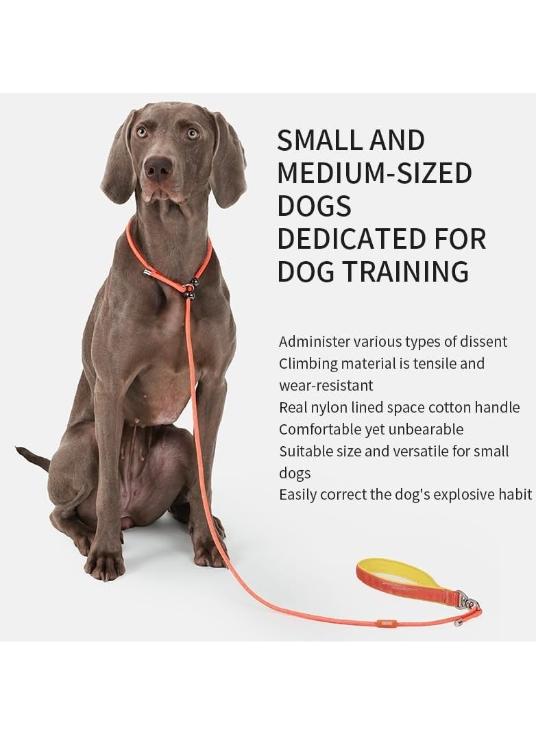 KASTWAVE - Slip Lead Dog Leash, 5 FT Dog Training Leash with Metal Stopper, Durable No Pulling Dog Lead Leash with Comfortable Handle, Nylon Heavy Duty Rope Dog Leash for Large Medium Small Dogs (Orange) - Image 1