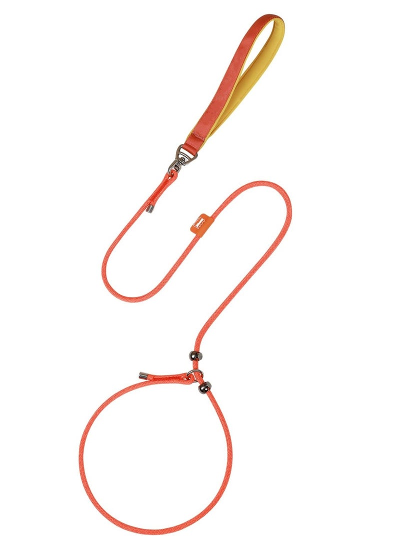 KASTWAVE - Slip Lead Dog Leash, 5 FT Dog Training Leash with Metal Stopper, Durable No Pulling Dog Lead Leash with Comfortable Handle, Nylon Heavy Duty Rope Dog Leash for Large Medium Small Dogs (Orange) - Image 1
