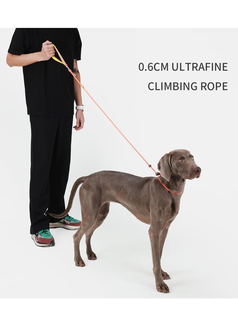 KASTWAVE - Slip Lead Dog Leash, 5 FT Dog Training Leash with Metal Stopper, Durable No Pulling Dog Lead Leash with Comfortable Handle, Nylon Heavy Duty Rope Dog Leash for Large Medium Small Dogs (Orange) - Image 1