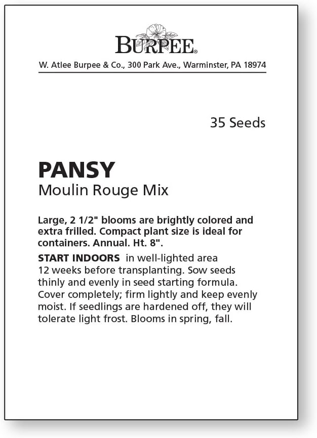 Burpee Moulin Rouge Pansy Seeds 35 seeds - Image 2