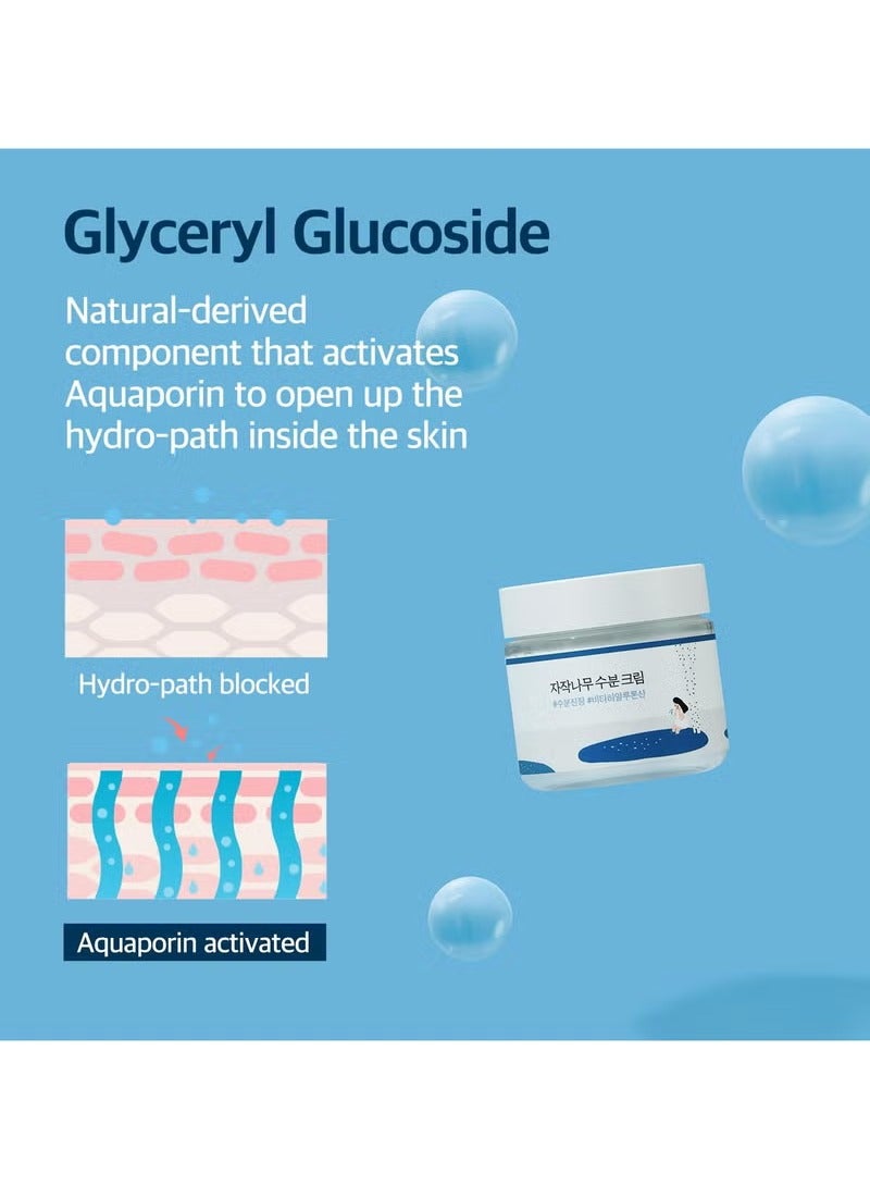 ROUND LAB Birch Juice Moisturizing Cream 2.7 Fl Oz, 48-Hour Deep Hydrating Face Moisturizer with Birch Sap & Vita Hyaluronic Acid for Acne-Prone Skin, Reduces Sebum, Oil, Blackheads, Korean Skin Care - Image 4