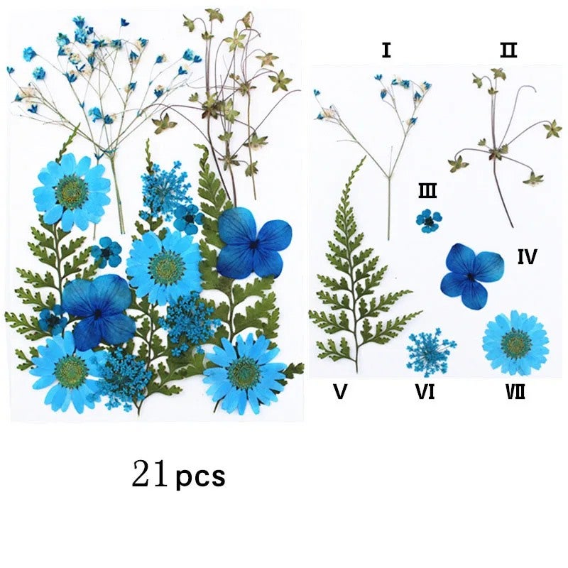 Bluejw M031 Handicraft Flower Press Bulk Mixed Pack – Fresh Real Pressed Natural Dried Flowers & Dried Plants for Resin Crafts, DIY Art, and Decor - Image 1