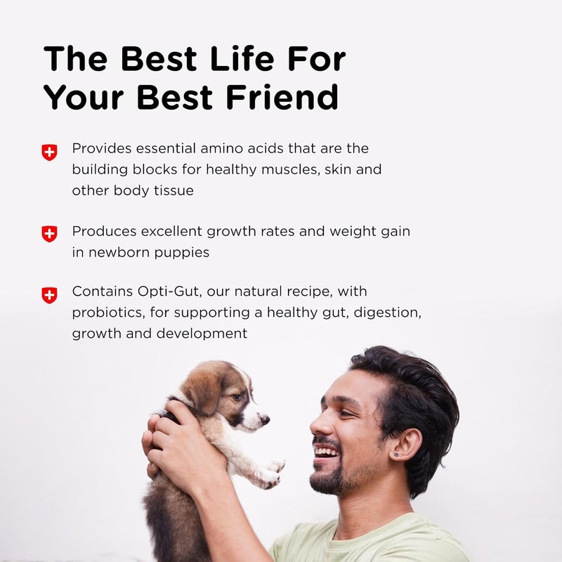 nutri vet Nutri-Vet Milk Replacement for Puppies, 12-Ounce - Essential Nutritional Support - Image 4