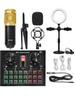 D6 Sound Card Mobile Phone Computer Recording Anchor Live Singing Song Artifact