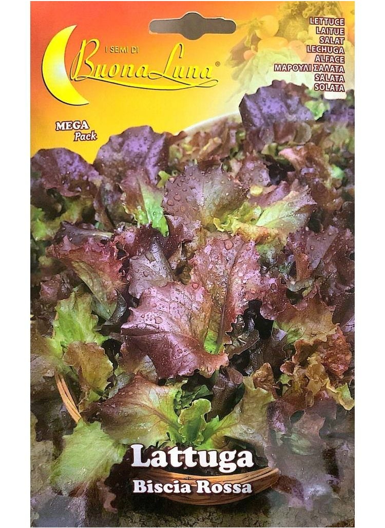 Buona Luna Lettuce Seeds  - Image 1