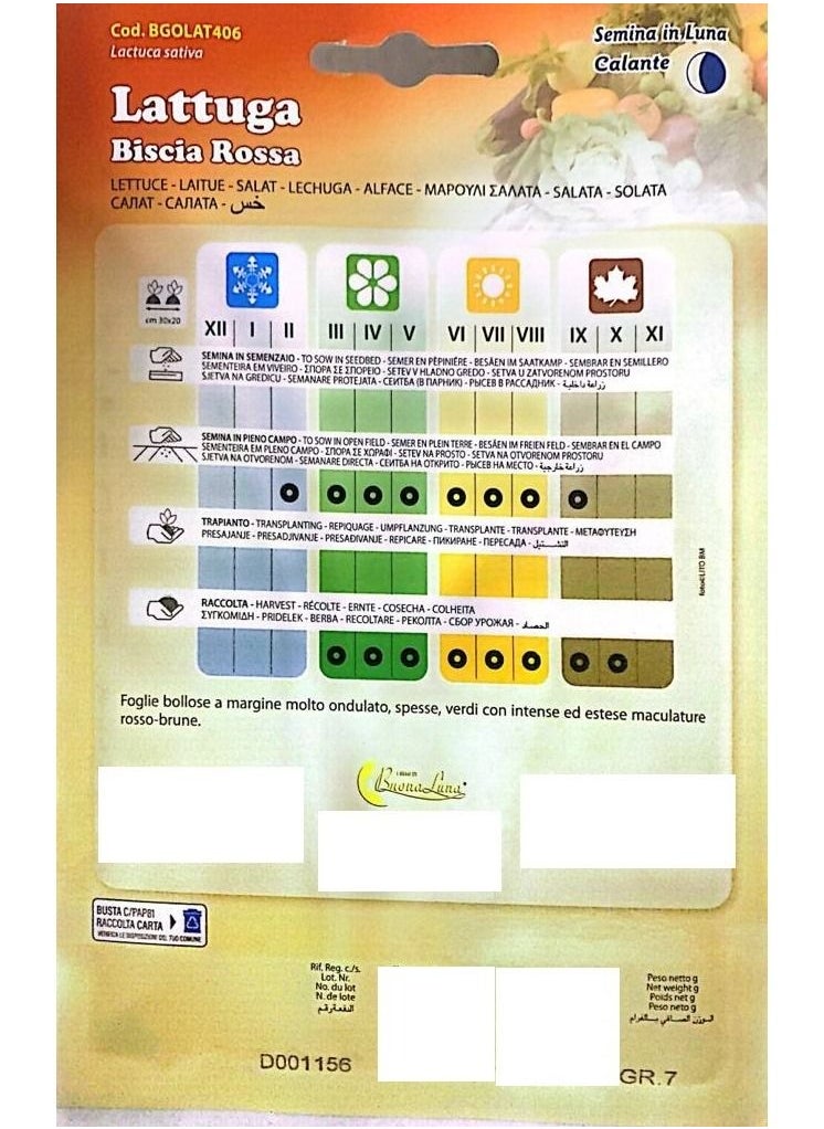 Buona Luna Lettuce Seeds  - Image 2