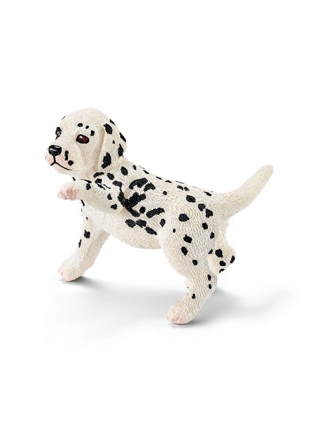 Schleich Farm World 6-Piece Baby Farm Animal Toy Gift Set Including Donkey Foal, Lamb, Calf, Dalmatian Puppy And Goat Kid  - Image 5