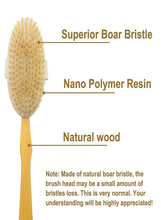 STORE77® Shower Brush with Long Handle, Back Scrubber for Shower Wooden Long Handle for Skin Exfoliating 2 in 1 Wet Dry Stiff Natural Bristles Bath Brush - Image 3