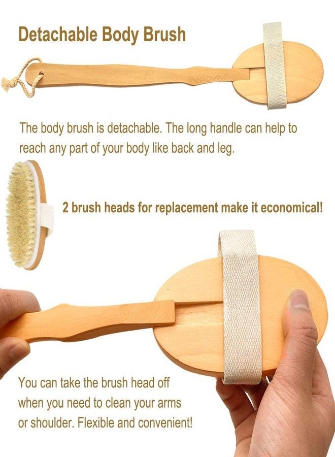 STORE77® Shower Brush with Long Handle, Back Scrubber for Shower Wooden Long Handle for Skin Exfoliating 2 in 1 Wet Dry Stiff Natural Bristles Bath Brush - Image 2