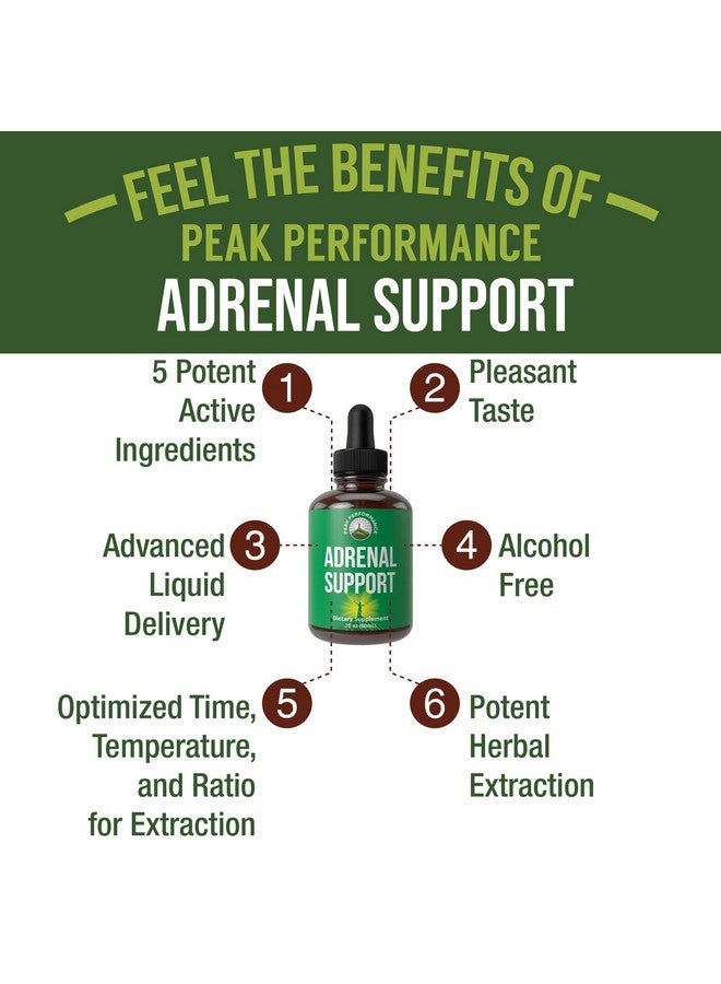 Peak Performance Adrenal Support Supplements to Restore Energy from Adrenal Fatigue. Liquid Drops Complex for Women and Men. Supports Healthy Cortisol Management. Supplement with Adaptogens - Image 2