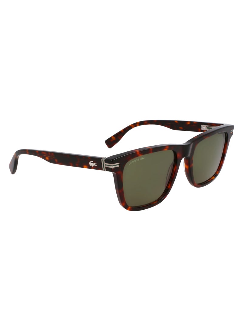 LACOSTE FULL RIM ACETATE ACETATE LACOSTE SUNS L6045S 5419 (230) DARK HAVANA - Image 3