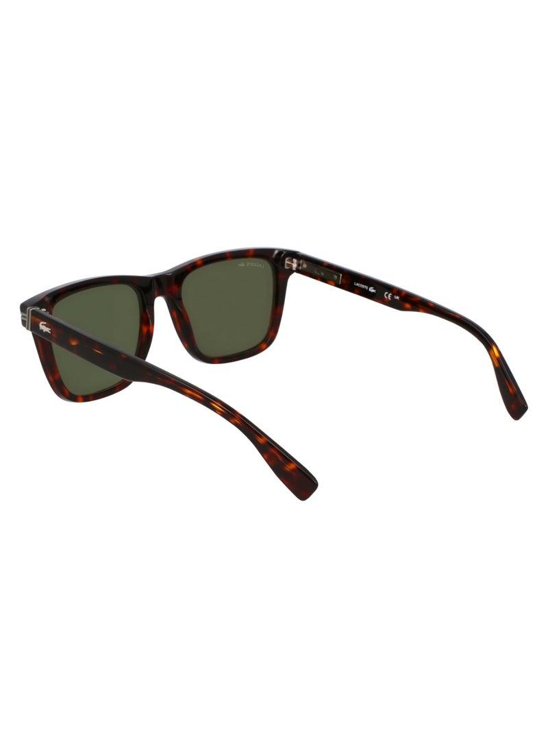 LACOSTE FULL RIM ACETATE ACETATE LACOSTE SUNS L6045S 5419 (230) DARK HAVANA - Image 5