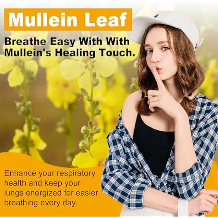 inGreens Mullein Leaf Extract 1530 Mg, 15-in-1 Herbal Supplements,Mullein Leaf Extract for Lungs,Bottled in USA - 60 Capsules - Image 2