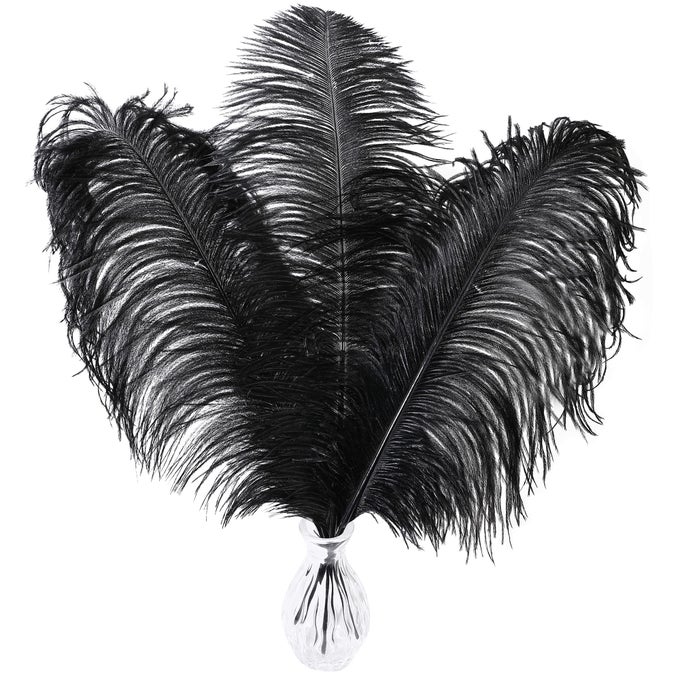 BLACK OSTRICH FEATHERS BULK 1618 INCH 10PCS FEATHERS FOR VASEWEDDING PARTY CENTERPIECES AND HOME DECORATIONS BLACK