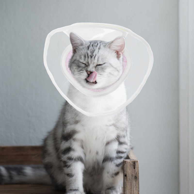 🐾 طوق تعافي قابل للتنفس للقطط والكلاب بعد الجراحة مقاس 21x11 سم أحمر مقاوم لللعق - Image 5
