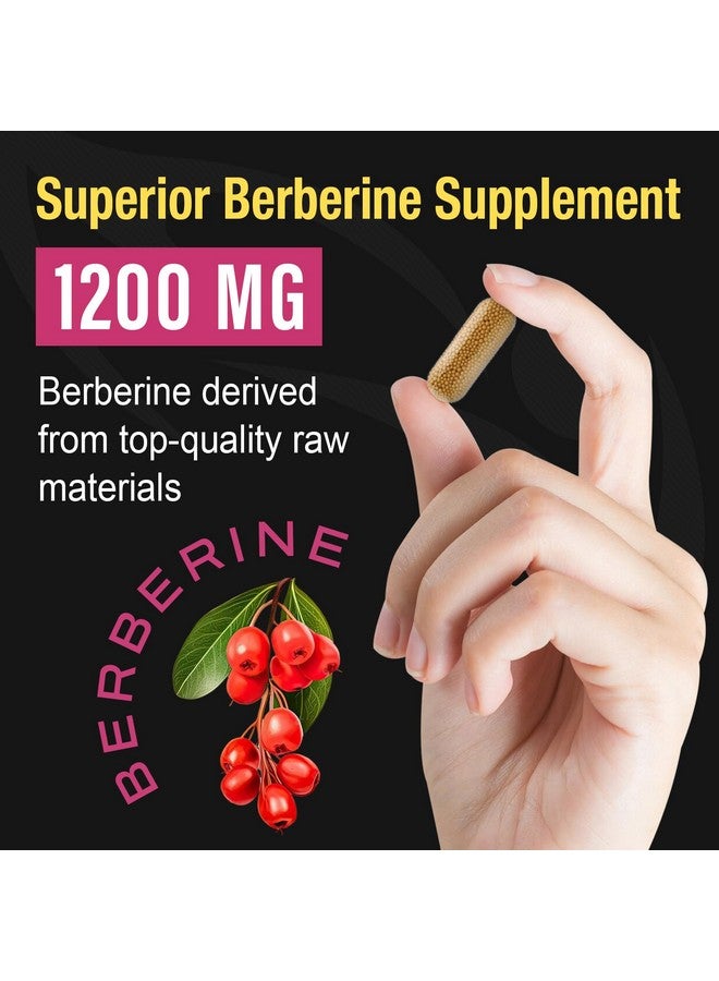 Canarata مكمل بيربرين 1200 ملغ - بيربرين HCL كريات دقيقة ذات توافر حيوي عالي - دعم منشط AMPK و GLP-1 لصحة القلب والأوعية الدموية للنساء والرجال 90 كبسولة نباتية - Image 5
