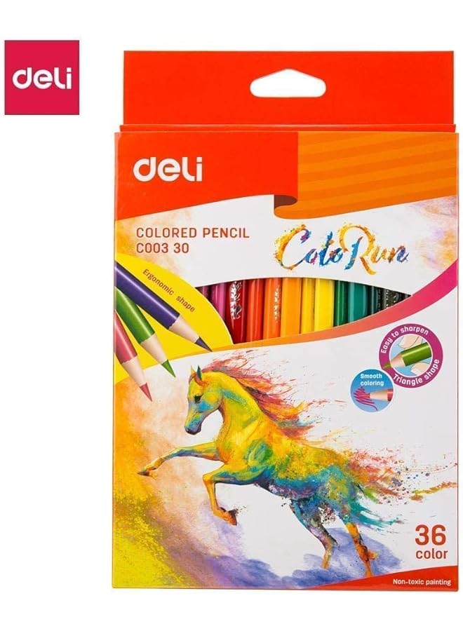 ديلي قلم تلوين 36 لون C003 30 - Image 5