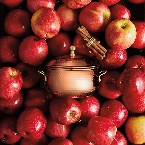 Thymes Simmered Cider Copper Candle - Warm & Spicy Apple Scented Candles for Home - Notes of Apple, Clove, and Cardamom - Luxury Gifts for Women - Fall Decor - 3 Wick (Copper Pot, 18 oz) - Image 2