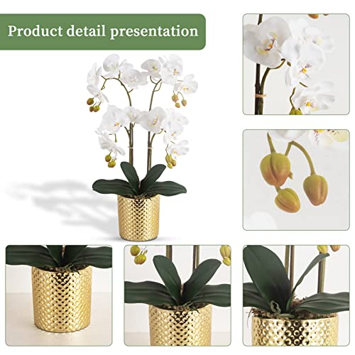 Ziwon Artificial Orchid Flowers Potted in Ceramic Pot, White Faux Phalaenopsis Orchids for Table Centerpiece, Realistic Fake Flower in vase for Home Office Decor Indoor - Image 2