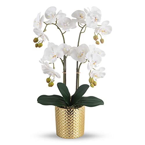 Ziwon Artificial Orchid Flowers Potted in Ceramic Pot, White Faux Phalaenopsis Orchids for Table Centerpiece, Realistic Fake Flower in vase for Home Office Decor Indoor - Image 1