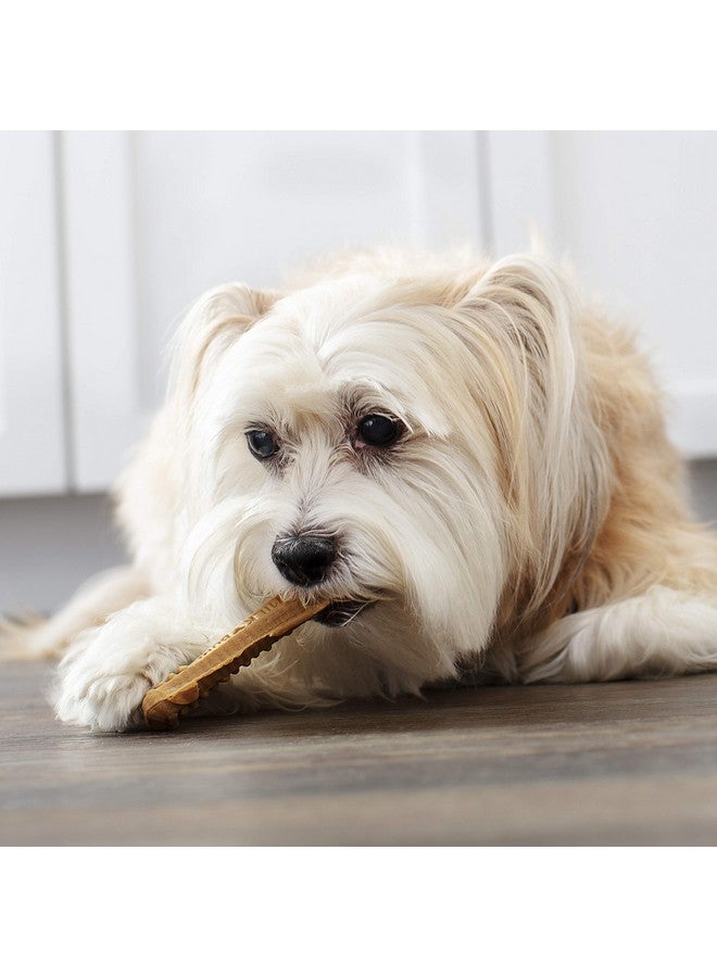 Milk-Bone Brushing Chews Daily Dental Dog Treats, Mini, 65 Count - Image 5