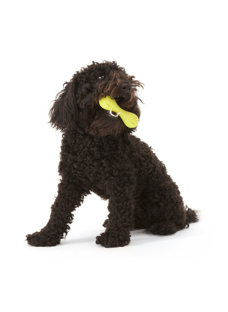 West Paw Design Hurley Dog Bone Small Tangerine - Image 3