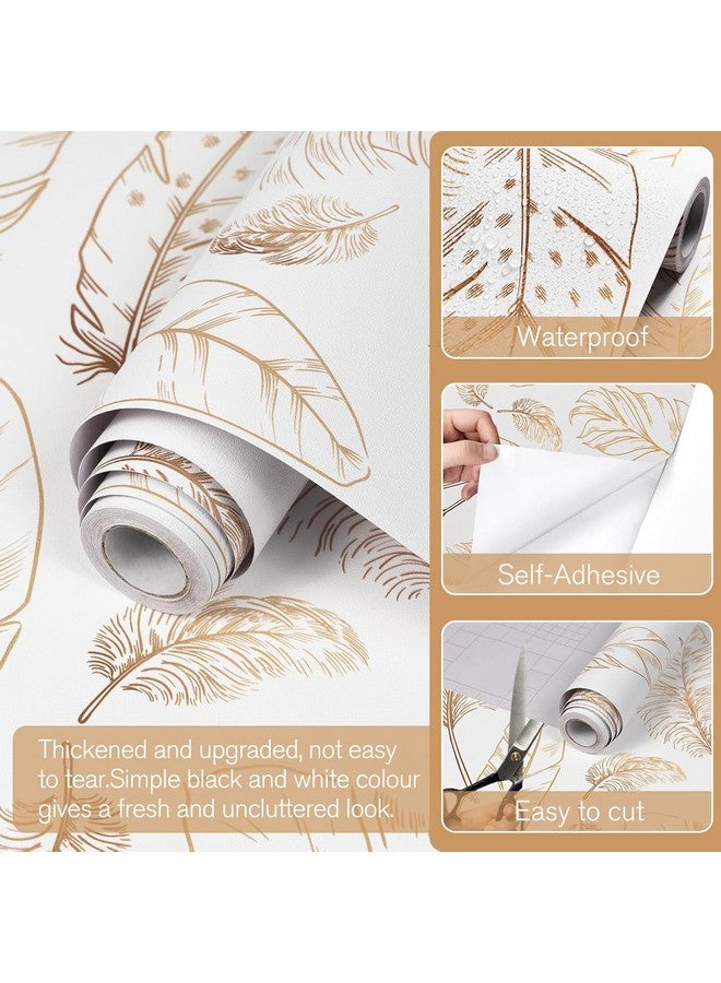 FOKRIM Gold and White Feather Wallpaper for Walls 45.5x305cm 14-Sqft Sticker Wallpaper Peel and Stick Removable Self Adhesive Waterproof Wallpaper - Image 2