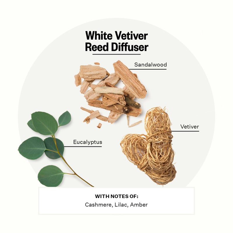 Apotheke Luxury Scented Reed Diffuser for Home, White Vetiver - 6.7 Fl Oz Essential Oil Aromatherapy - 10 Rattan Scent Sticks Room Diffuser - Long-Lasting Fragrance for Bedroom, Home, Bathroom - Image 2