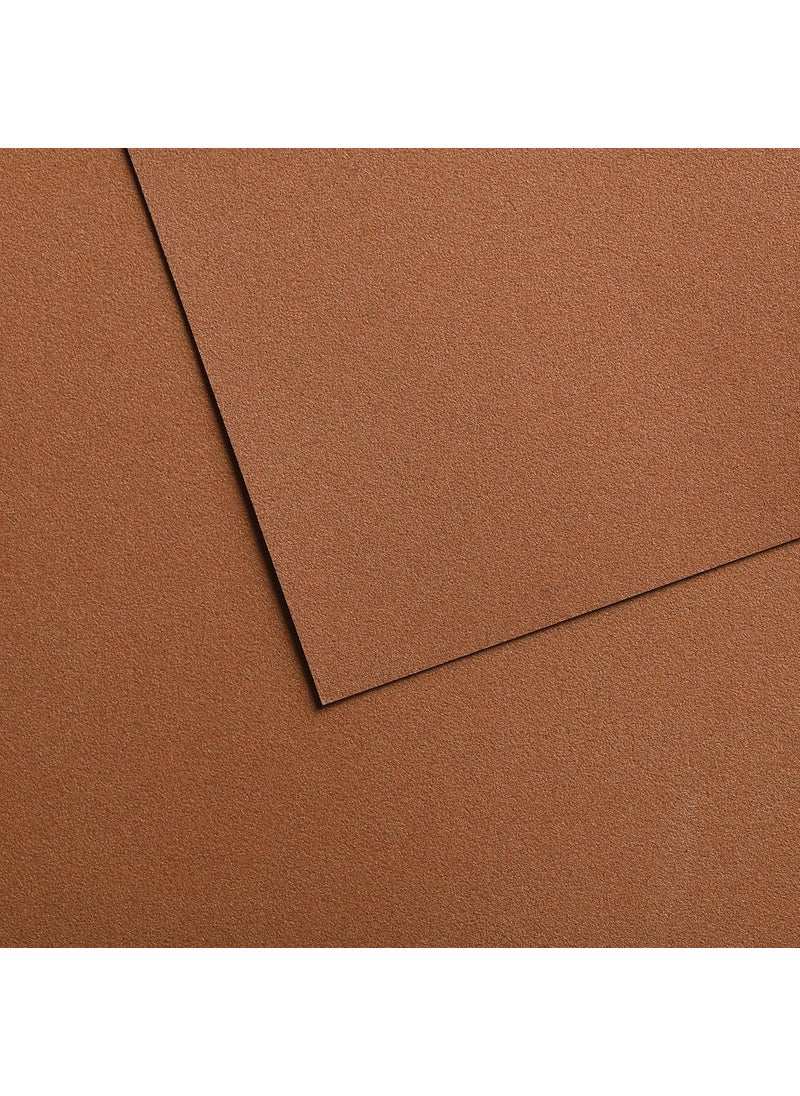 CANSON Canson MiTeintes Velvet Drawing Paper Sheet Brown 260lb430g 1 Sheet 1969x256 inch 1 Count 