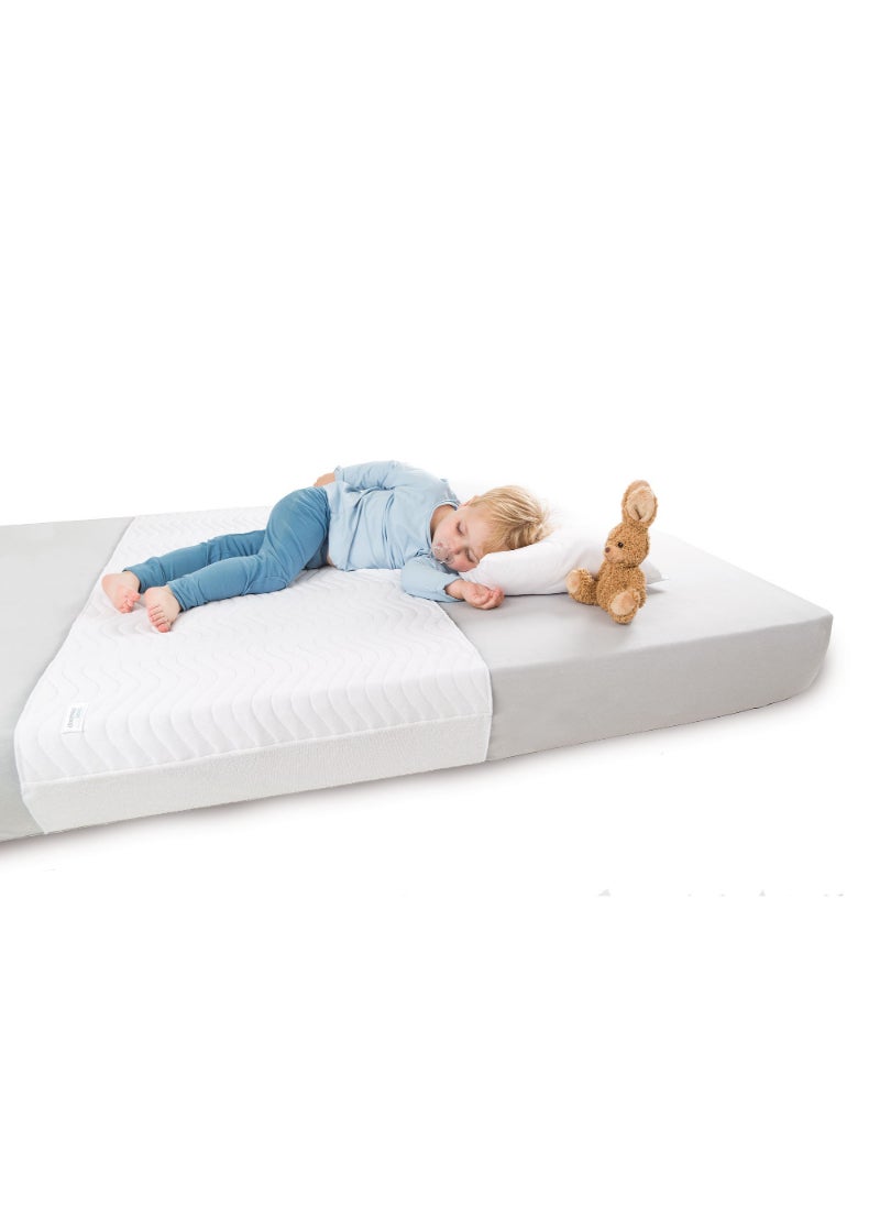 Doomoo Basics Absoplus Pillow