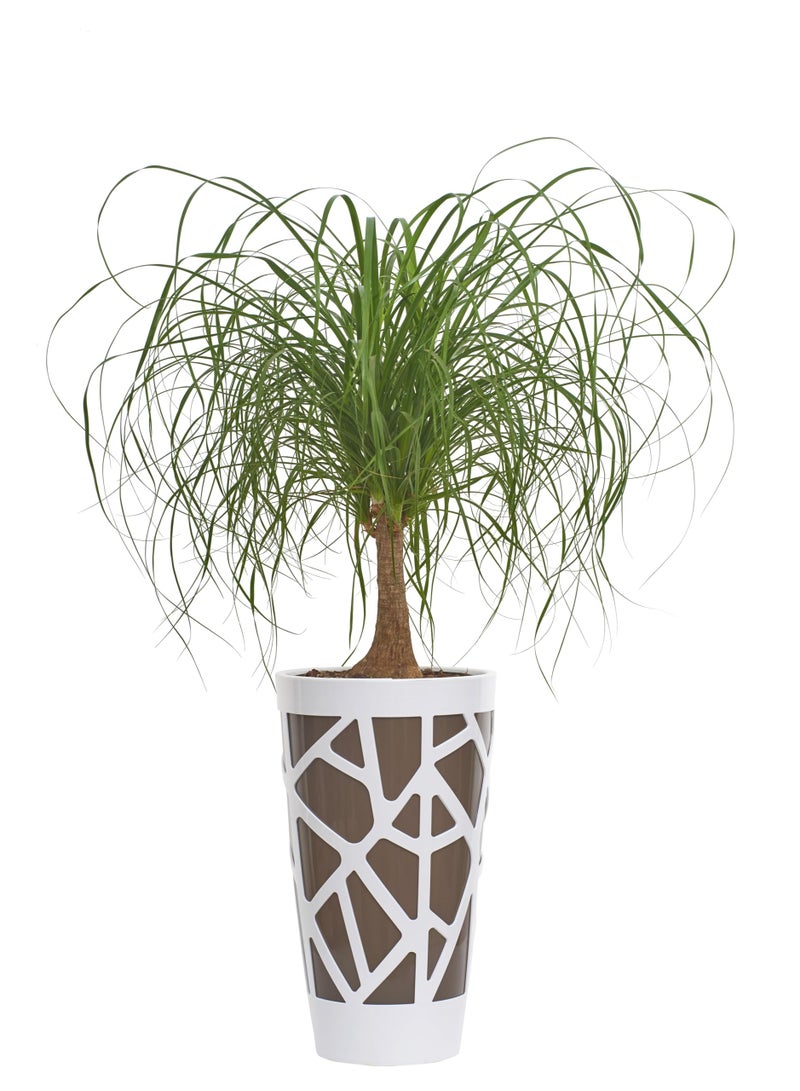 IDEL Plastic Flower Pot Mosaic Curve 55cm – Round Indoor Outdoor Planter for Balcony, Tabletop & Garden – Multicolour Decorative Plant Pot - Made in Italy - by Idel - Image 1