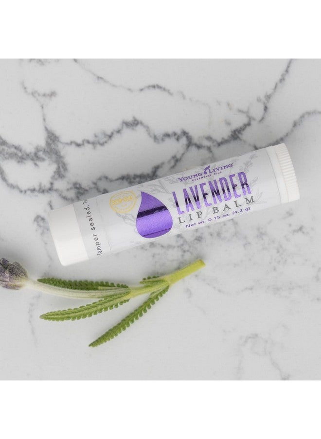 Young Living Lavender Lip Balm - 0.15 Oz - Essential Oils, Soothes Dry Lips, Hydrates & Softens, Natural Lip Care Hydrating Lip Treatment, Moisturizing Lip Balm - Image 1