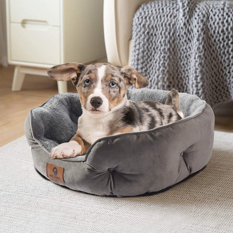 Asvin Small Dog Bed for Small Dogs, Cat Beds for Indoor Cats, Pet Bed for Puppy and Kitty, Extra Soft & Machine Washable with Anti-Slip & Water-Resistant Oxford Bottom, Grey - Image 2