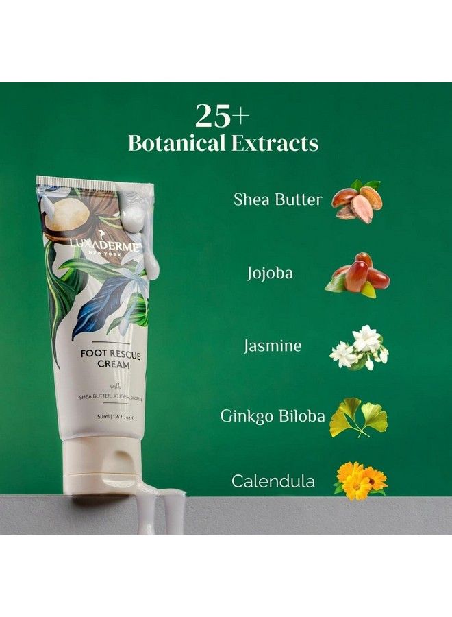 LuxaDerme Moisturizing Foot Rescue Cream With Shea Butter Jojoba & Jasmine For Softening Restore Cracked & Chapped Dry Feet 50 Ml (Pack Of 1)  - Image 3