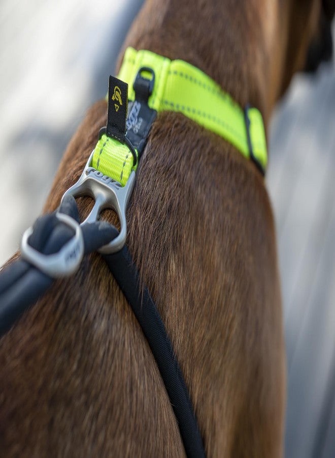 Rogz Stop Pull Dog Harness Reflective Classic Large Black - Image 4