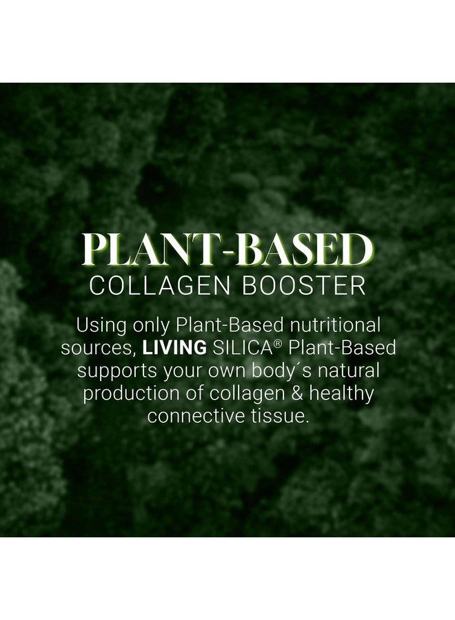 Orgono Living Silica Orgono Living Silica Plant-Based Collagen Booster | Horsetail Extract & Rosemary | Supports Collagen & Elastin for Joint & Bone Health, Glowing Skin, Strong Hair & Nails | 33.85 Fl Oz - Image 4