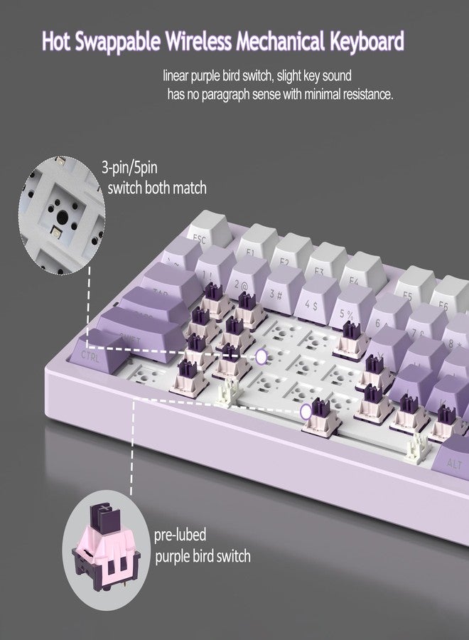 MageGee LIGHT75 Wireless Creamy Keyboard, Tri-Mode Bluetooth/2.4GHz/USB-C RGB Backlit, Gasket Hot Swappable Custom Gaming Keyboard for Win/Mac/PC, with Knob, Side Printed PBT Keycaps, Purple - Image 5