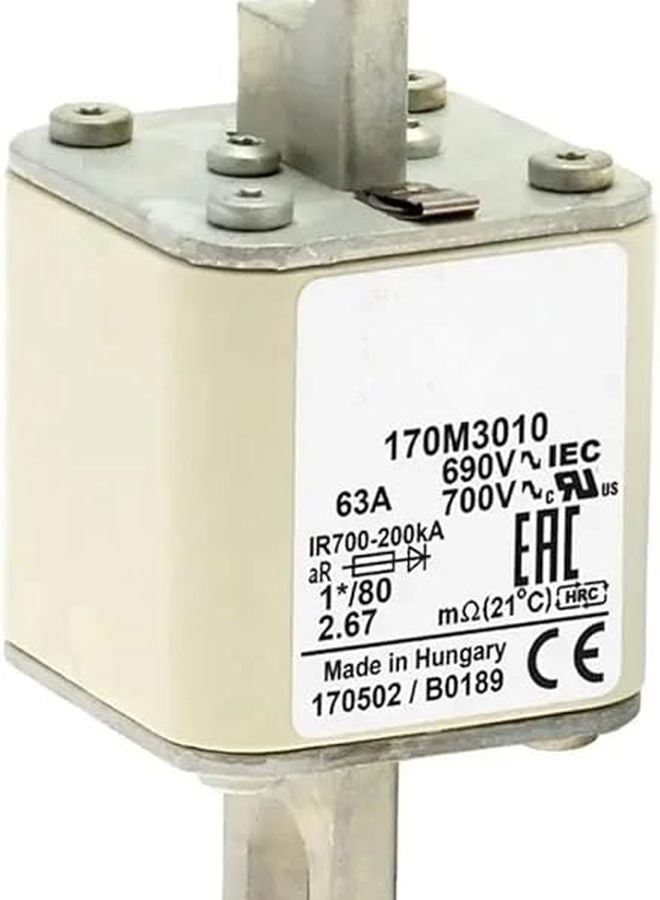 Silver Fuse 170M3017 Electrical Component - Image 4