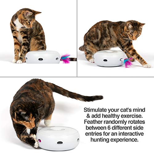 PetFusion [New & Improved Ambush Interactive Electronic Cat Toy w/Rotating Feather. (Quiet, 3 Modes, Nighttime Light, Auto Shut-Off, Batteries Incl). Replacement Feathers Available. 12 Month Warranty - Image 3