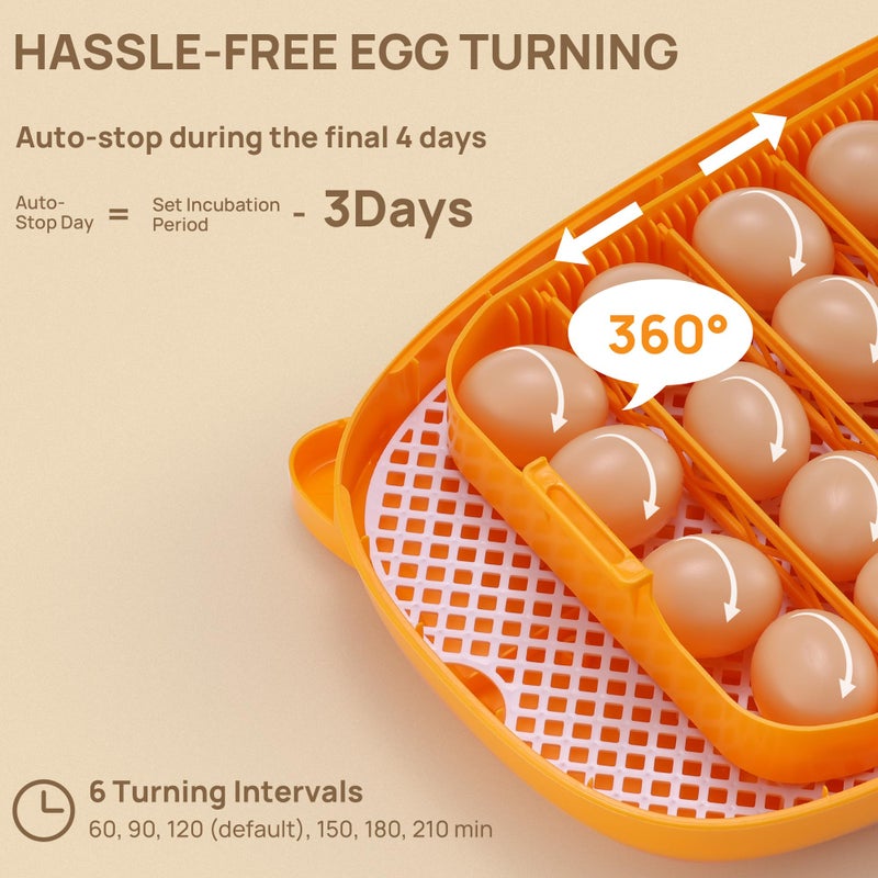 TURBRO 24 Egg Incubator with Automatic Egg Turning, Incubator for Hatching Eggs with Auto-Temperature and Humidity Control, Egg Candler, for Chicken, Duck, Quail, Use in Farm, Home, Classroom, Lab - Image 3