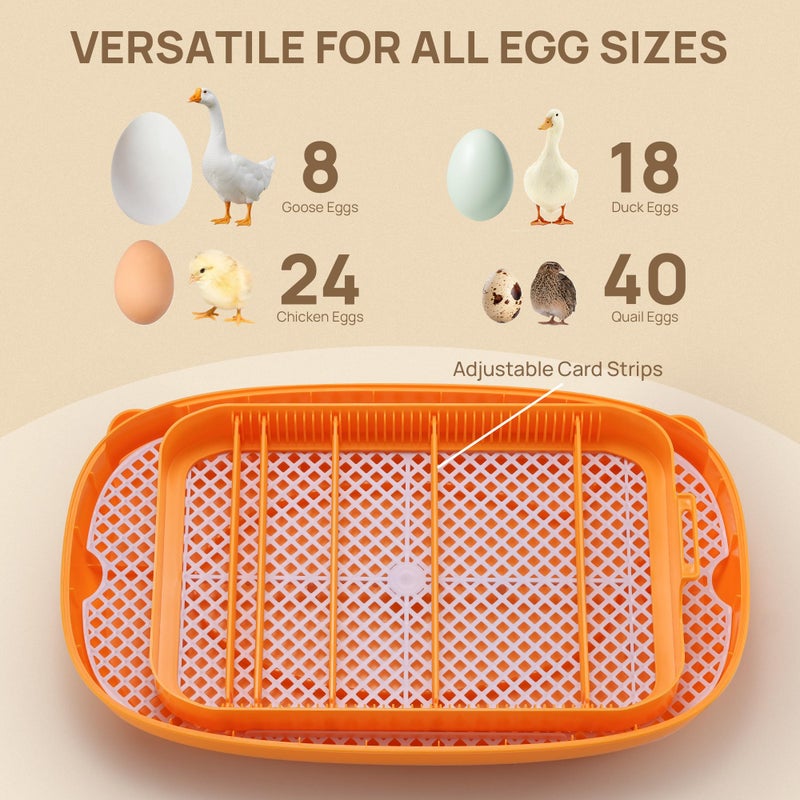 TURBRO 24 Egg Incubator with Automatic Egg Turning, Incubator for Hatching Eggs with Auto-Temperature and Humidity Control, Egg Candler, for Chicken, Duck, Quail, Use in Farm, Home, Classroom, Lab - Image 4