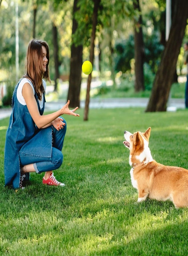 Prime Pets Tennis Balls for Dogs 3 Pack 2.5”, Durable Dog Toys for Training, Fetch & Outdoor Play, Squeaky Balls for Dogs Small and Medium with High Bounce, Interactive Pet Fetch Ball - Image 4